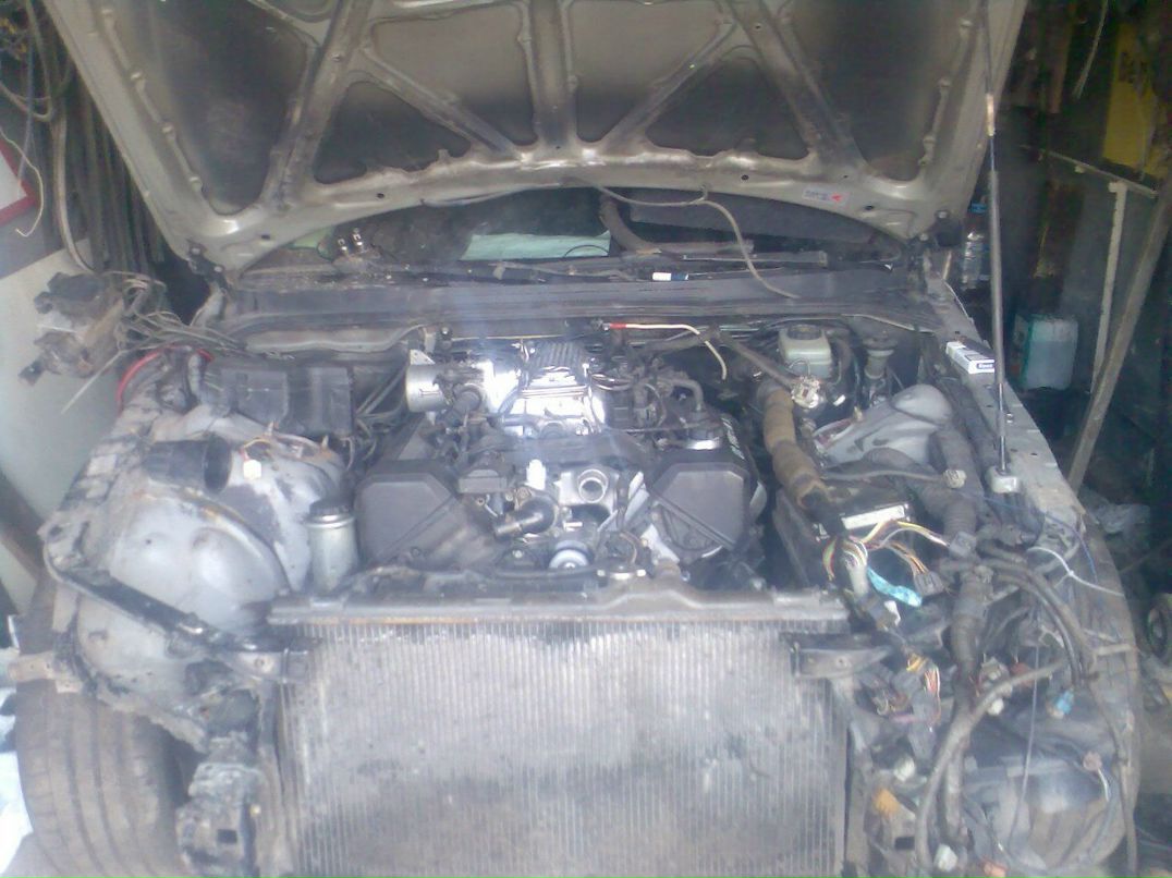 Виктор Мартынов фотография #42