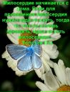 Світлана Венгринович фотография #35 (источник - https://vk.com/id34698165)