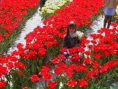 Фотография Шерстневой Ирочки