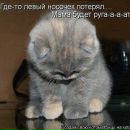 Віка Холодняк фотография #43 (источник - https://vk.com/id151454186)
