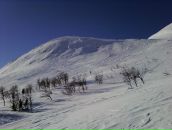 Дмитрий Звягин фотография #37 (источник - https://vk.com/id957409)