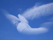 Фотография Шкилева Антона