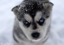 Ірина Шпортко фотография #36 (источник - https://vk.com/id77277537)