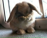 Фотография Беспаловой Ксении