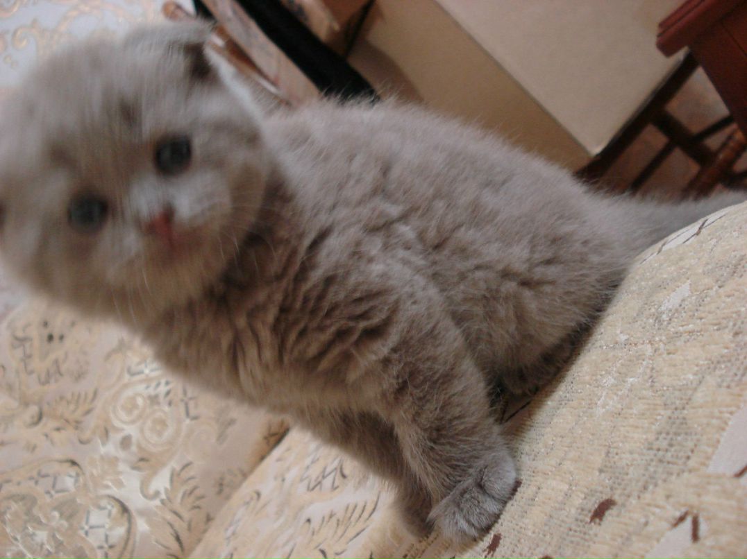 Милана Умарова фотография #8