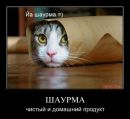 Фотография Осиповой Татьяны