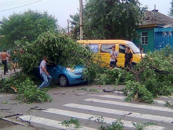 Сергей Панков фото №37