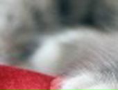 Анастасия Солдатова фотография #24 (источник - https://vk.com/id10623)