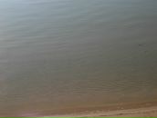 Антон Брынза фотография #23 (источник - https://vk.com/id493929)