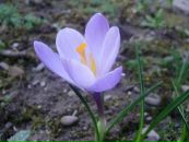 Наталія Ковач фотография #22 (источник - https://vk.com/id107345011)