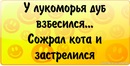 Пєтя Перч фотография #4 (источник - https://vk.com/id145013659)