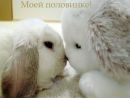 Іван Безмощук фотография #6 (источник - https://vk.com/id77739446)