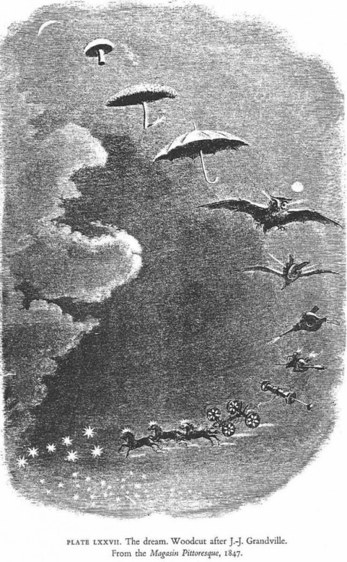 Лилия Вундер фотография #37