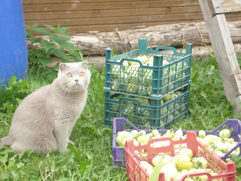 Дмитрий Молчаливый фотография #47