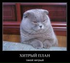 Максим Астафьев фотография #12 (источник - https://vk.com/id81487)