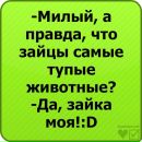 Віталій Снайчук фотография #47 (источник - https://vk.com/id155823779)