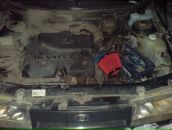 Фотография Садикова Даниса