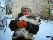 Микола Романюк фотография #29 (источник - https://vk.com/id93188929)