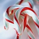 Фотография Павловой Астрид-йоханны