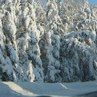 Коля Луців фотография #15 (источник - https://vk.com/id66166396)