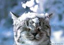 Ксюня ♥ фотография #38 (источник - https://vk.com/id154104825)