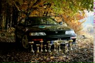 Назар Зіник фотография #35 (источник - https://vk.com/id8251396)