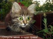 Фотография Шнейдера Сергея