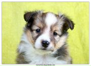 Фотография Выграновской Виктории