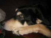 Фотография Путиловой Яны