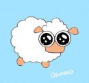 Овца Белая фотография #4 (источник - https://vk.com/id4406024)