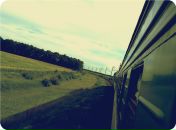 Дмитрий Додон фотография #26 (источник - https://vk.com/id1244633)