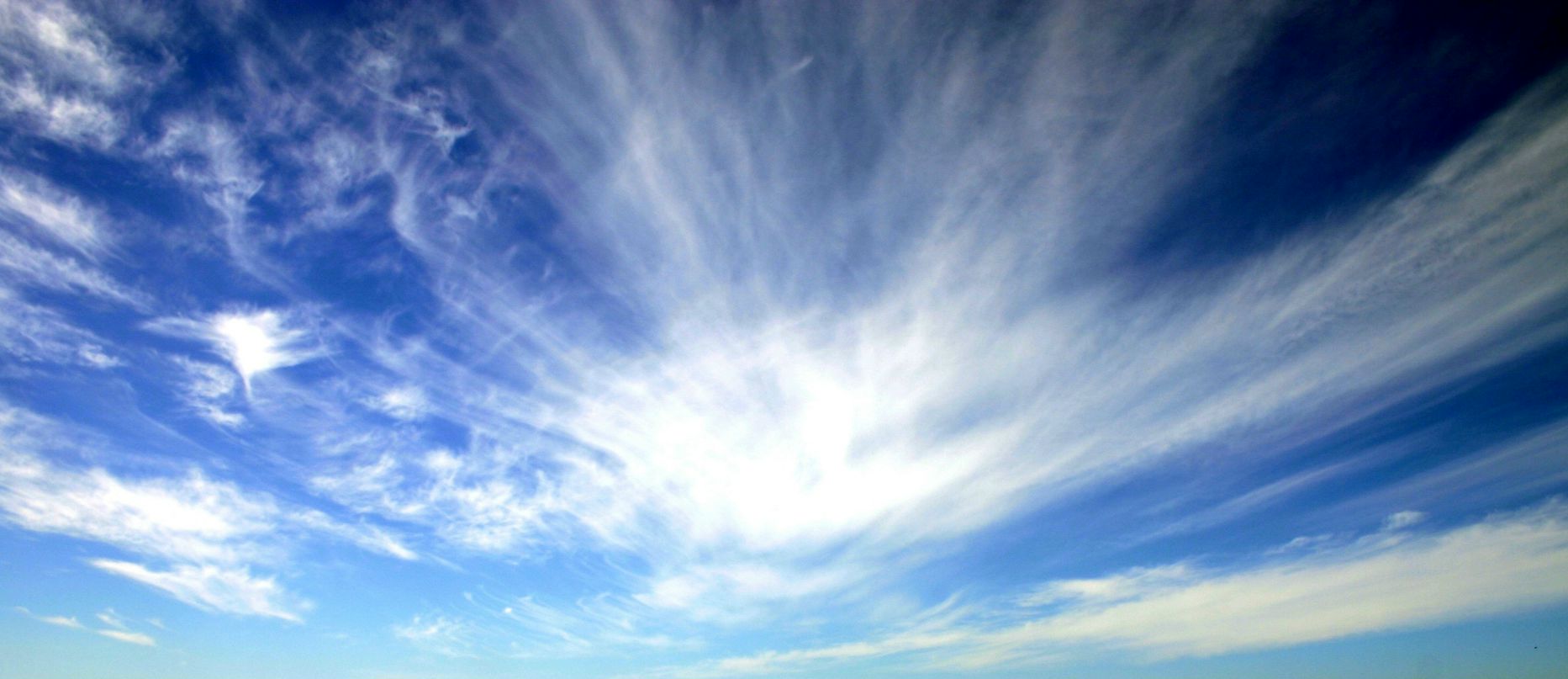 Natrina Pak фотография #23