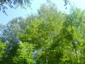 Иван Кузнецов фотография #19 (источник - https://vk.com/id98103)