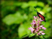 Фотография Худяковой Елены