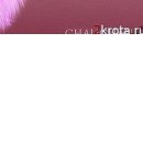 Олеся Вуйців фотография #39 (источник - https://vk.com/id74029763)