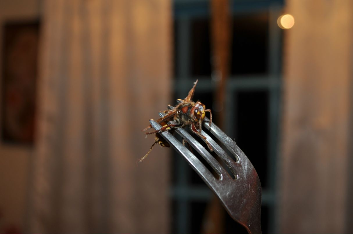 Александр Яковчук фотография #30