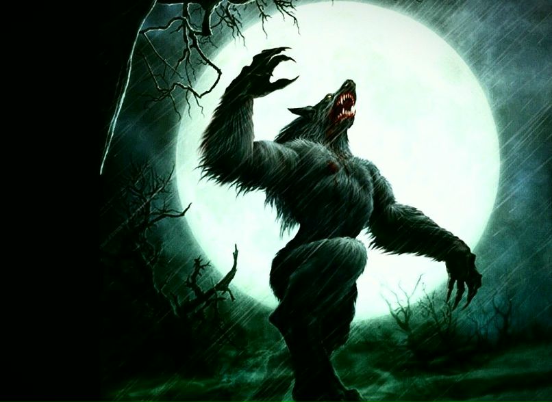 Demon Ferox фотография #5