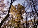 Анатолий Кучма фотография #29 (источник - https://vk.com/id85846513)