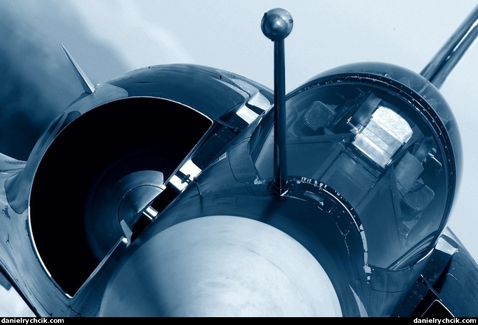 Mark Hoppus фотография #18