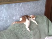 Фотография Игнатян Анны