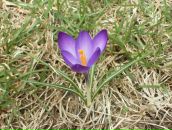 Фотография Люткевич Ольги