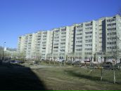 Фотография Савельева Дмитрия