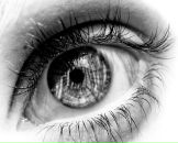 Софії4к@ Клименко фотография #30 (источник - https://vk.com/id119277619)