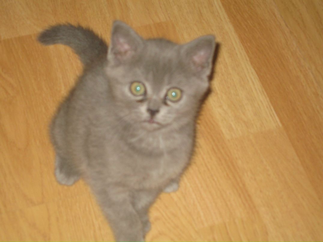 Яркий Мир фотография #6