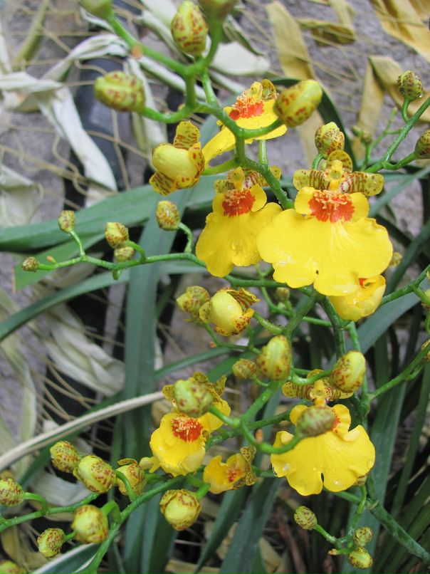 Сергей Царёв фотография #40