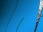 Інна Пилипів фотография #45 (источник - https://vk.com/id72525447)