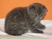 Фотография Сабирзяновой Лилии