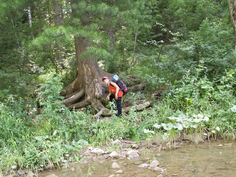 Евгений Ларин фотография #29