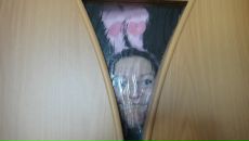 Фотография Шевченко Елены