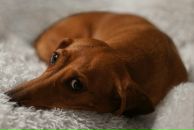 Фотография Котофеича Александра